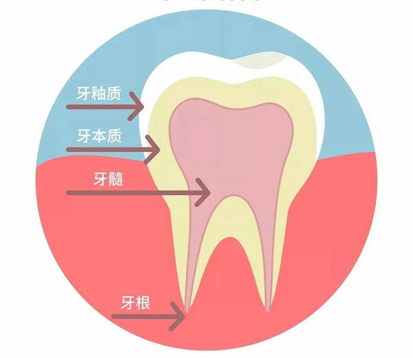 箍牙前一定要拍片嗎